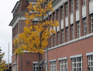 Aussenansicht des Evangelischen Gymnasiums Nordhorn.