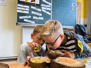 Schüler der CJD Grundschule Adensen-Hallerburg beobachten und experimentieren im Unterricht.
