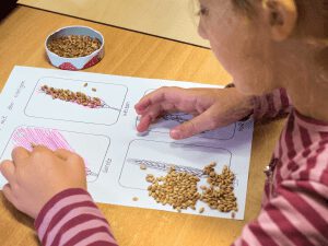 Übergreifender Projektunterricht an der CJD Grundschule Adensen-Hallerburg.