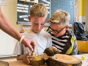 Projektorientierte Umstellung Sachunterricht Projekt Schnecke.