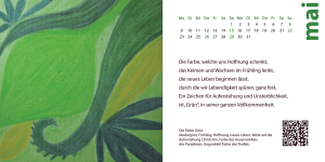 Die Farbe Grün - Kalenderseite Mai des Actionbound Kalenders 2022.