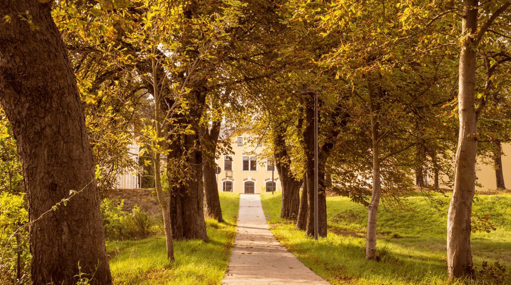 Die Evangelische Schule für Sozialwesen Hans Georg Anniès Moritzburg ist wirklich ein Schmuckstück: Ein frisch renoviertes, mehr als 100 Jahre altes denkmalgeschütztes Gebäude.