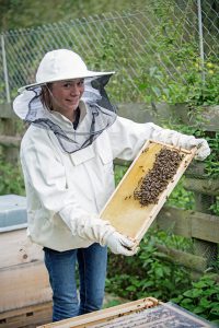 Ein Imker in weißer Kleidung hält einen mit Bienen besetzten Wabenrahmen in der Nähe von Bienenstöcken im Freien.