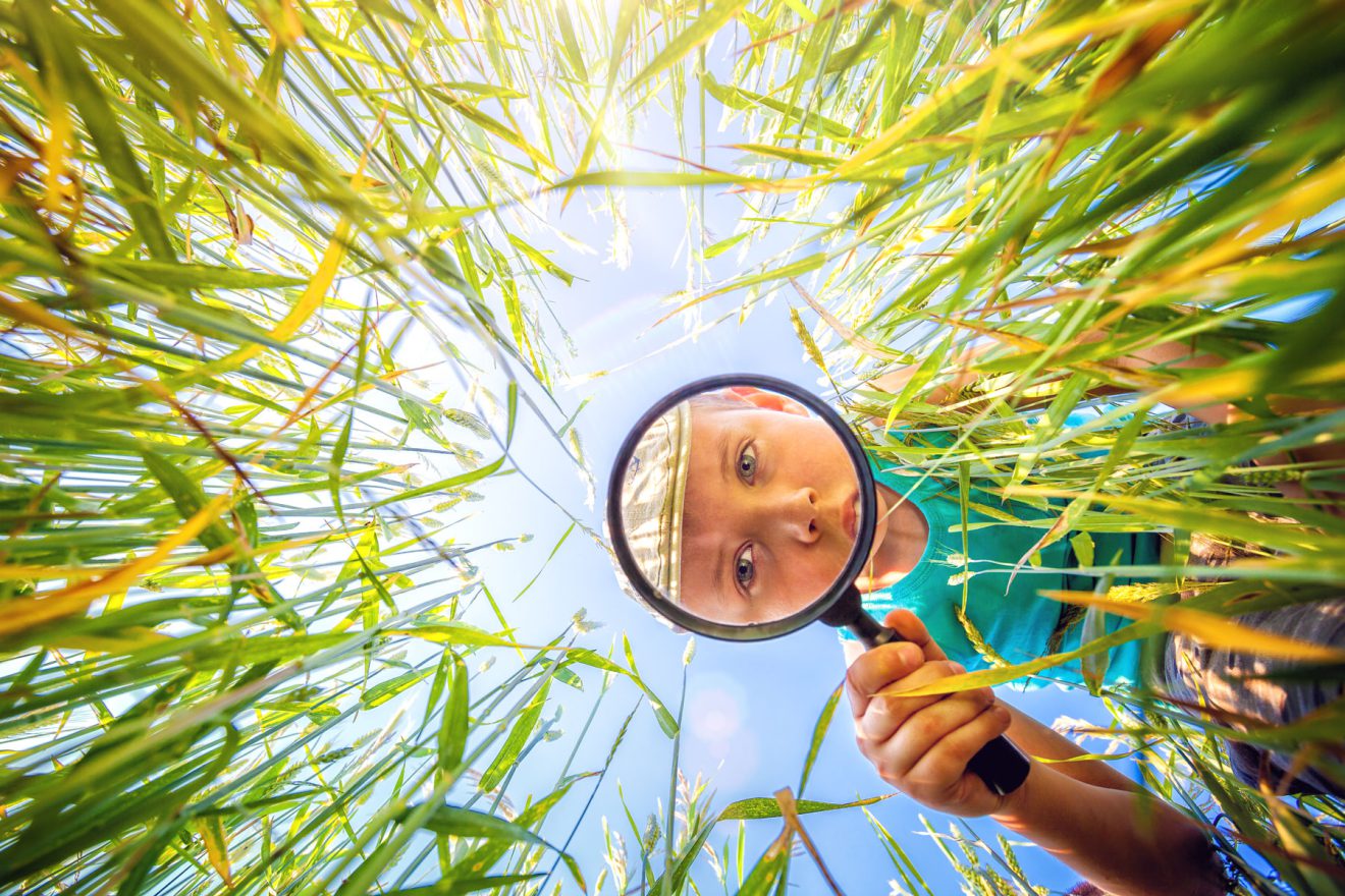 Ein Kind benutzt ein Vergrößerungsglas im hohen grünen Gras an einem sonnigen Tag unter blauem Himmel.