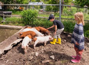 Zwei Kinder in Stiefeln spielen mit Ferkeln in einem schlammigen Gehege, in dessen Nähe sich Grünflächen und ein Gewächshaus befinden. Foto: Martin Kirchner